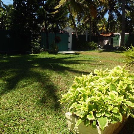Villa W Bentota Zewnętrze zdjęcie